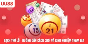 Bạch Thủ Lô - Hướng Dẫn Cách Chơi Và Kinh Nghiệm Tham Gia