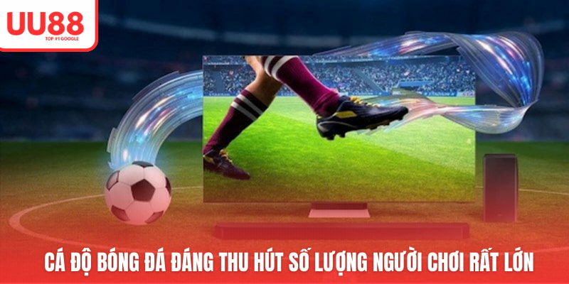 Cá độ Bóng Đá đáng thu hút số lượng người chơi rất lớn