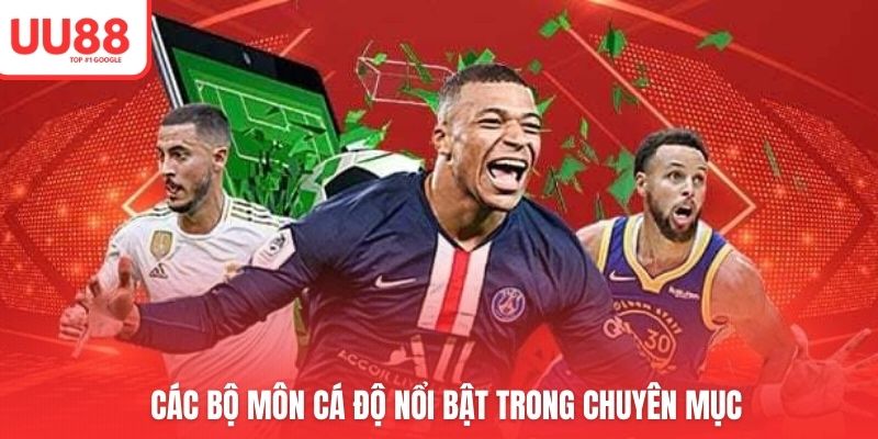 Các bộ môn cá độ nổi bật trong chuyên mục