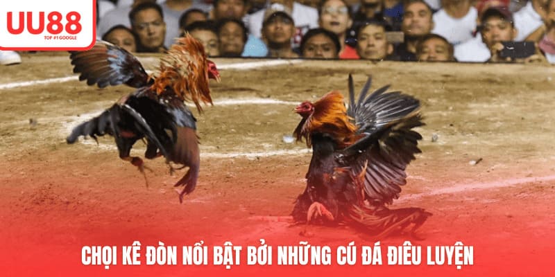 Chọi kê đòn nổi bật bởi những cú đá điêu luyện