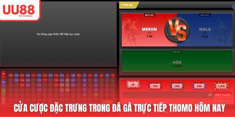 Cửa cược đặc trưng trong đá gà trực tiếp thomo hôm nay