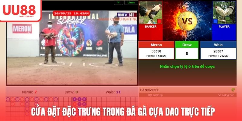 Cửa đặt đặc trưng trong đá gà cựa dao trực tiếp