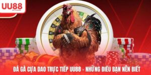 Đá Gà Cựa Dao Trực Tiếp