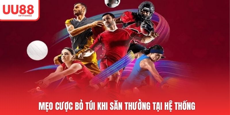 Mẹo cược bỏ túi khi săn thưởng tại hệ thống