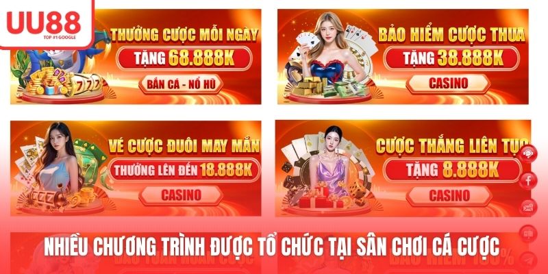 Nhiều chương trình được tổ chức tại sân chơi cá cược